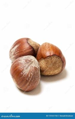 網(wǎng)游代理新藍(lán)海 《三國(guó)將無(wú)雙》0.1折魂穿三國(guó)模式的國(guó)際化運(yùn)營(yíng)之道